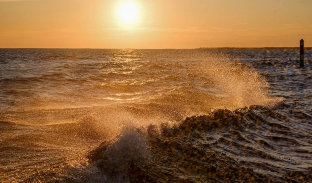 We always keep a close eye on the weather forecast. If the wind is too strong and a wave rises in the bay, we cancel the voyage ourselves, or suggest changing it to a more comfortable one without waves)