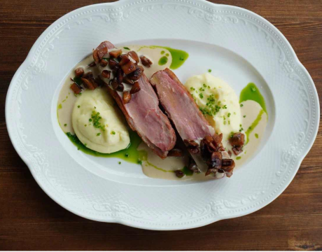 Duck with porcini mushrooms and mashed potatoes